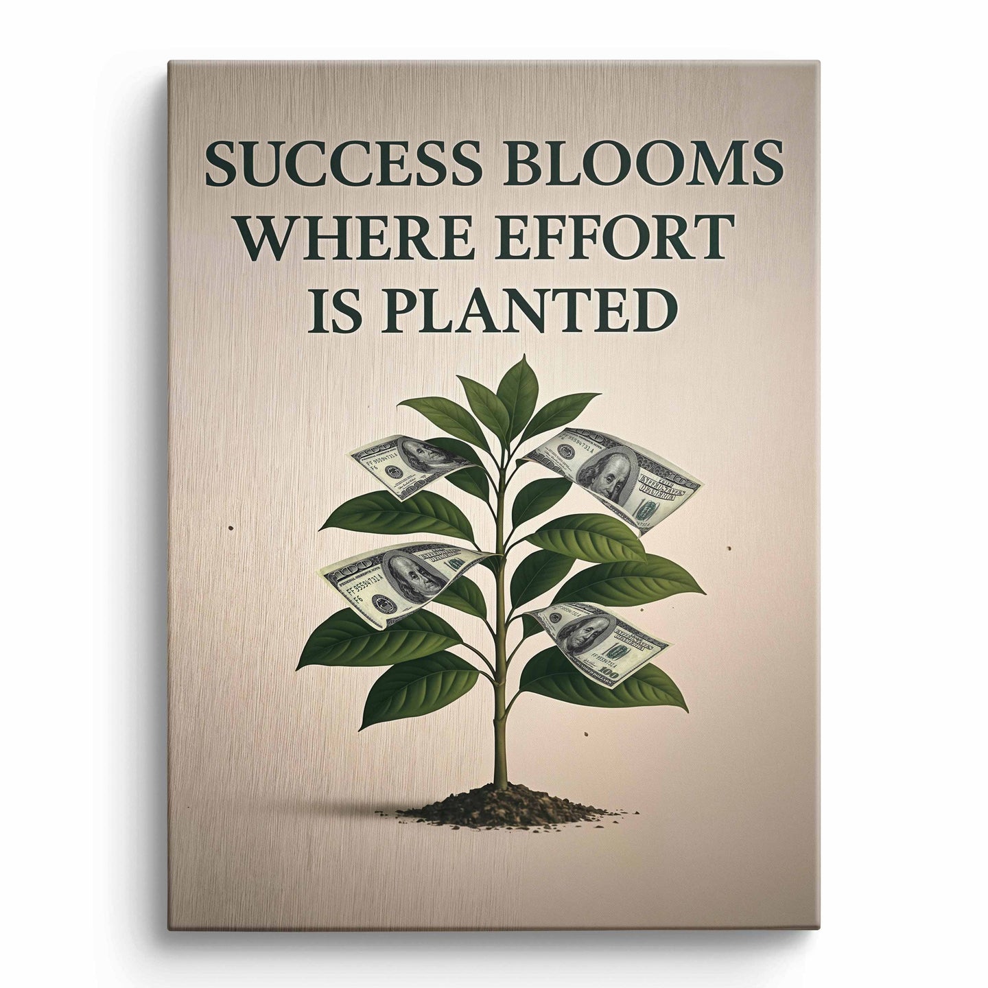 Success Plant